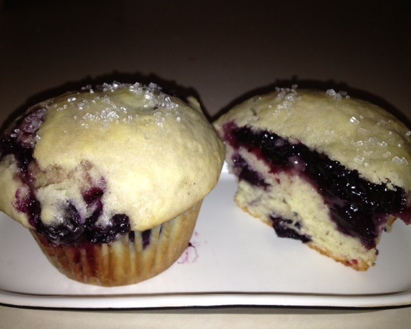 citrus double blueberry muffins from cocos confections