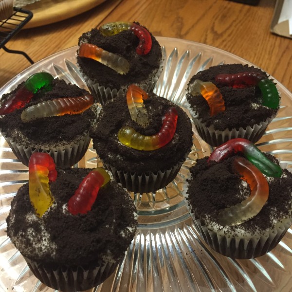 photo of some dirt worm themed cupcakes from cocos confections