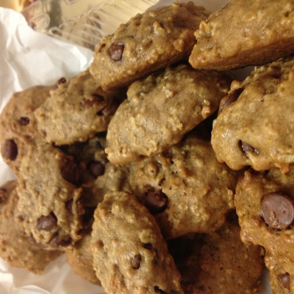 pumpkin chocolate chip cookies from cocos confections